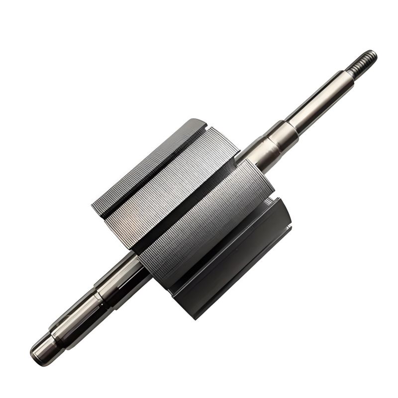 Rotor du moteur